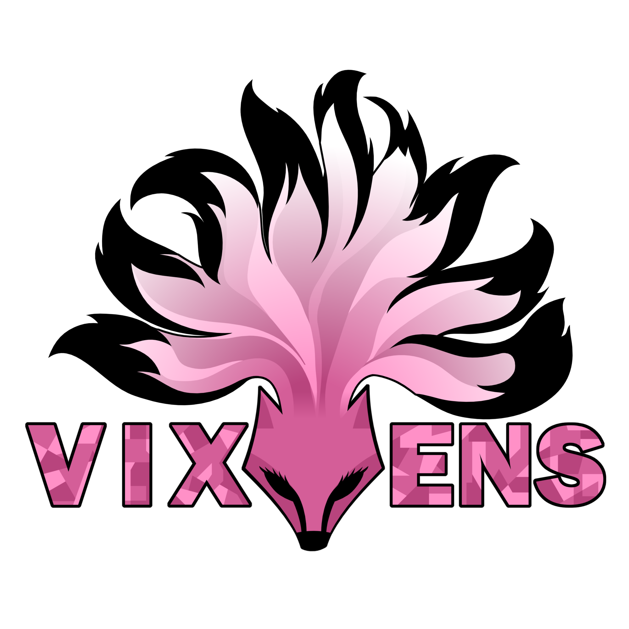The VIXENS Logo